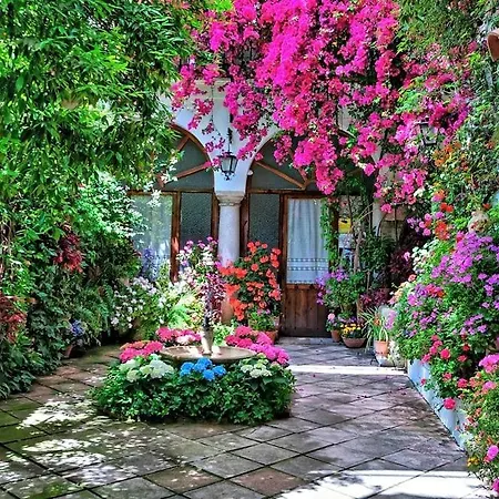 Apartment Premium! Jardines De Orive 2